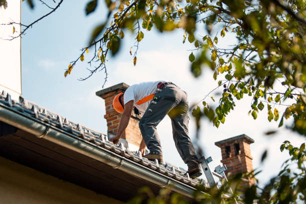 Best Roof Coating and Sealing  in Mitchellville, MD