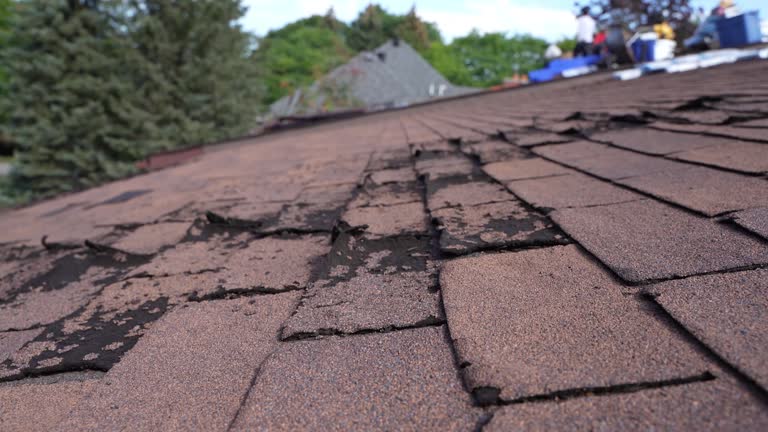 Best Roof Waterproofing  in Mitchellville, MD