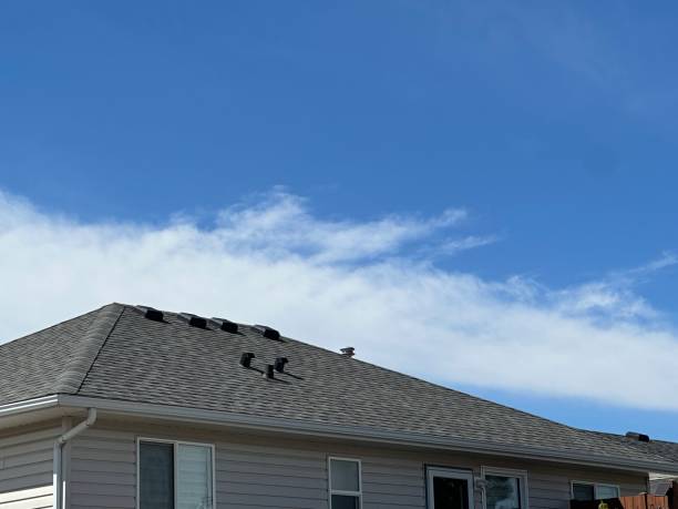 Reliable Mitchellville, MD Roofing Service Solutions